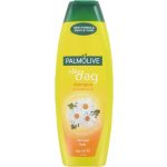 Palmolive Shampoo Elke Dag 350 ml 8718951066106