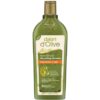 Dalan Shampoo Repairing Care 400 ml 8690529001927
