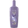 Andrelon Shampoo Zilver Care 300 ml 8710522912812