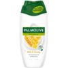 Palmolive Douchegel Honing & Melk 250 ml. 8714789732879