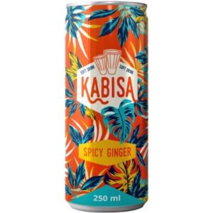 Kabisa Soft Drink Spicy Ginger 250 ml 5906874145081