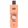Sence Shampoo - Coconut 400 ml 8719874197922
